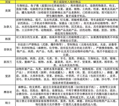 机场出入境须知 办好签证就万事大吉？警惕“小黑屋”与遣返风险