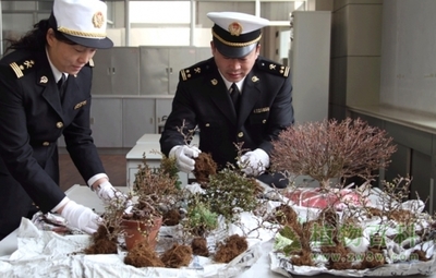 我国禁止携带邮寄动植物及动植物产品入境 入境旅游须知